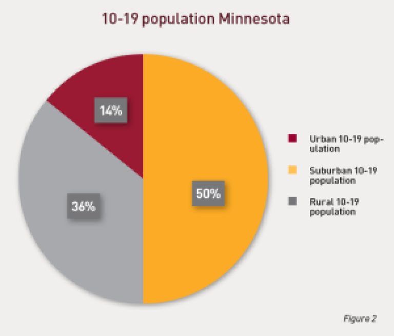 Pie chart 10-19 population Minnesota