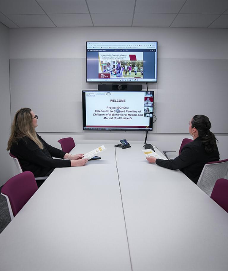 Two people reviewing telehealth presentation