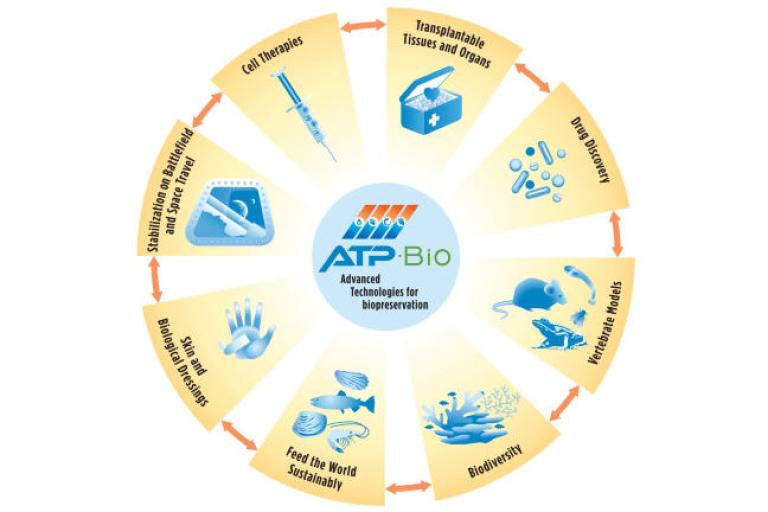 atp bio graphic