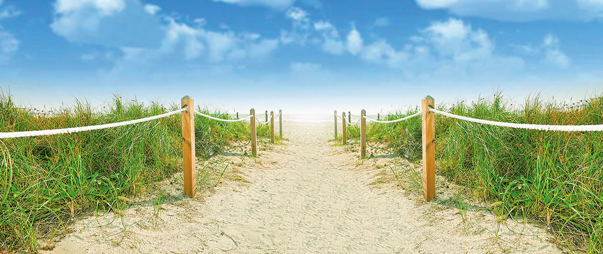 Photograph of a pathway leading to the ocean